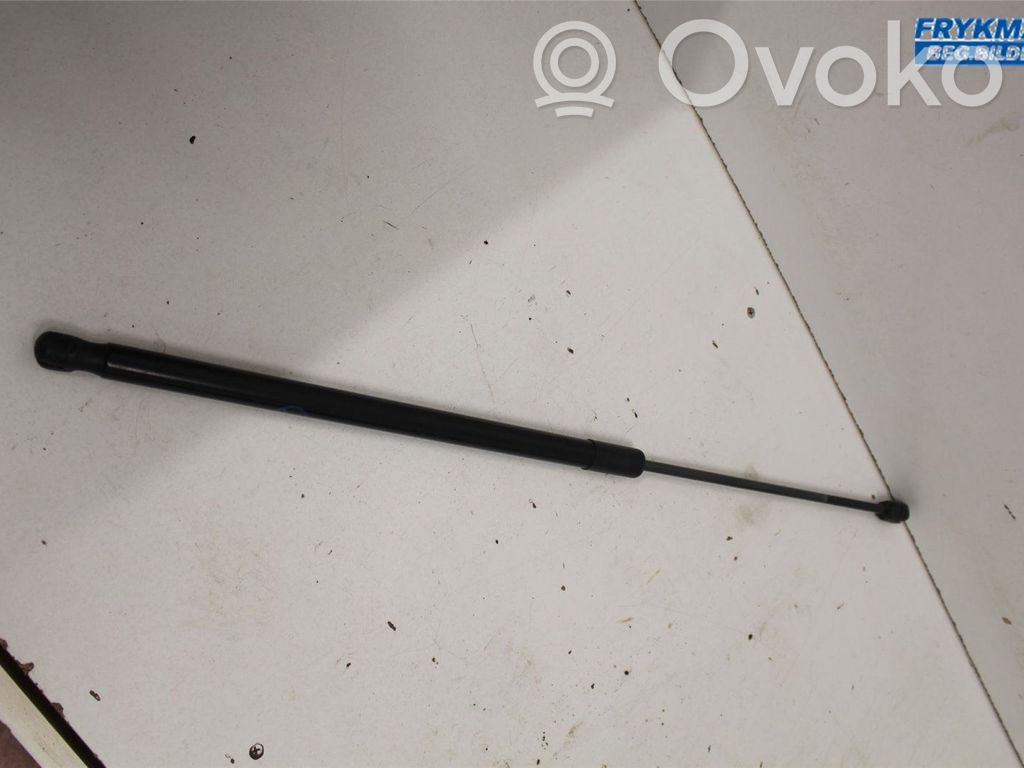 Ford Focus Tailgate strut 