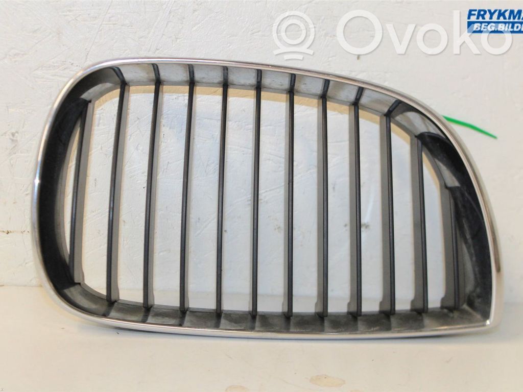 BMW 1 E81 E87 Front bumper lower grill 