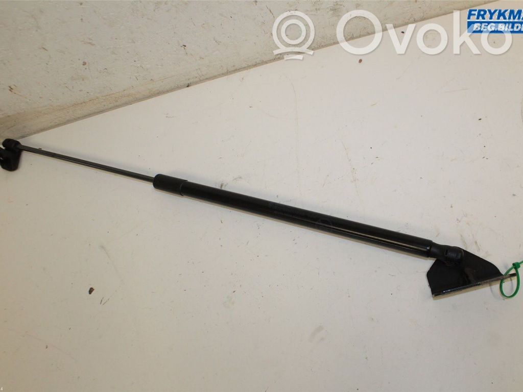 Ford Focus Tailgate strut 