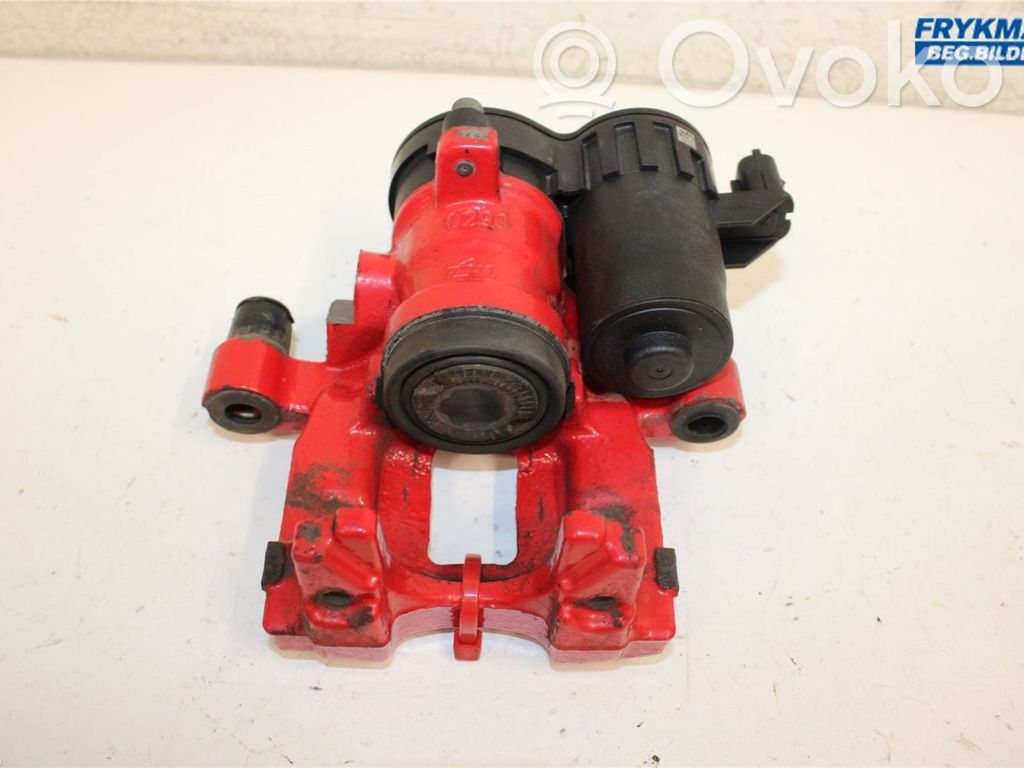 Ford Focus Galinis suportas 