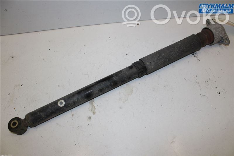 Stoßdämpfer hinten   AP3118080AG,1855303