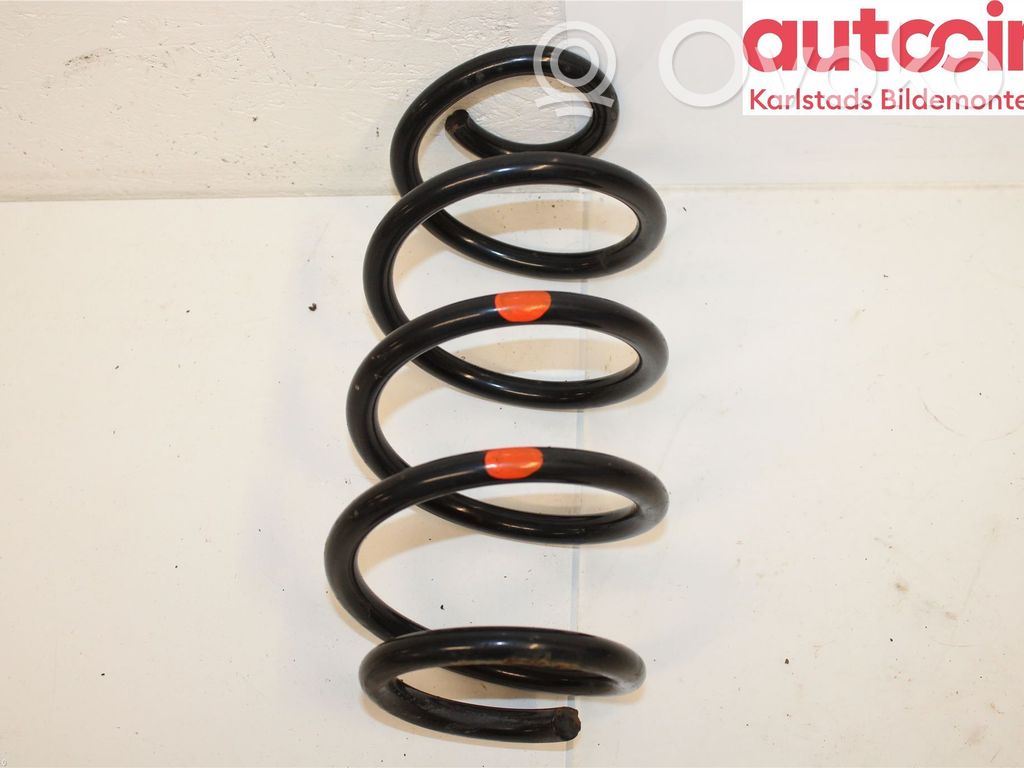 Rear coil spring