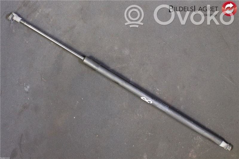 Tailgate strut   904509U00B