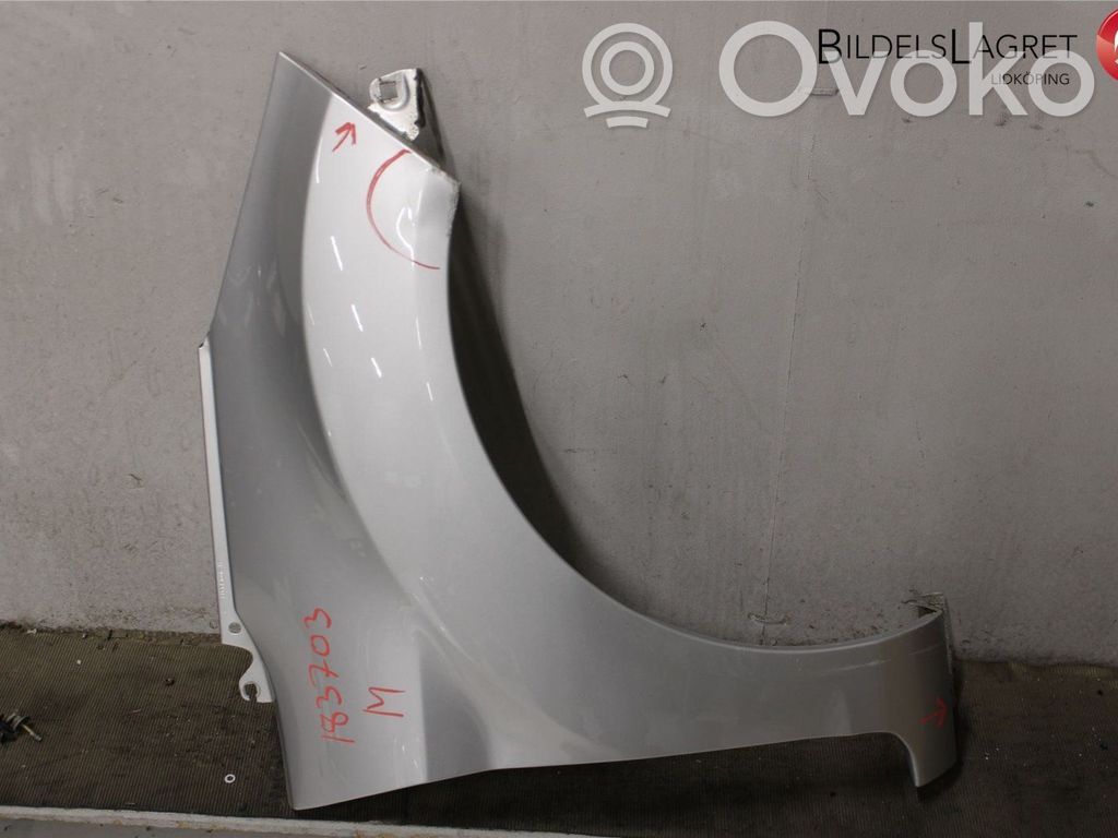 Ford Fiesta Fender 