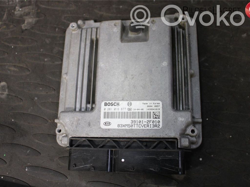 Unidad de control/módulo de la inyección   391012F010,0281016877,391012F010