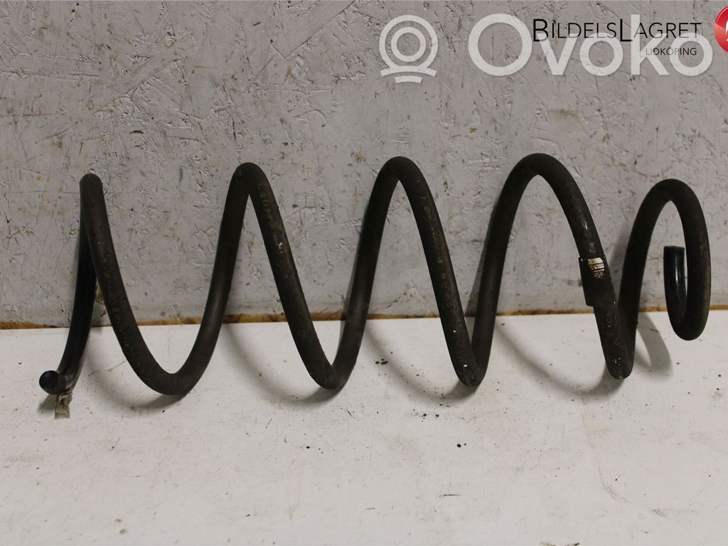 Muelle espiral trasero