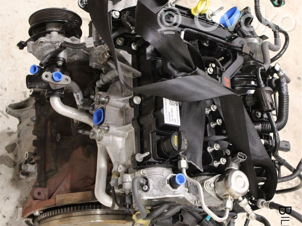 Ford Fiesta Motor 