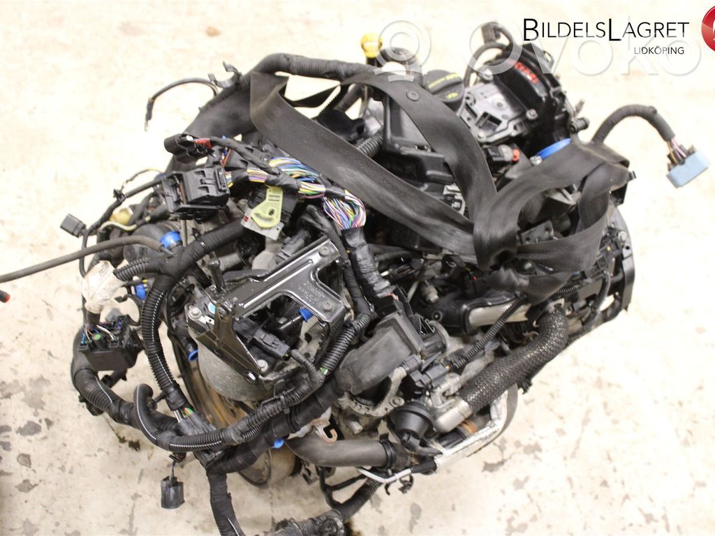 Motor   36050493