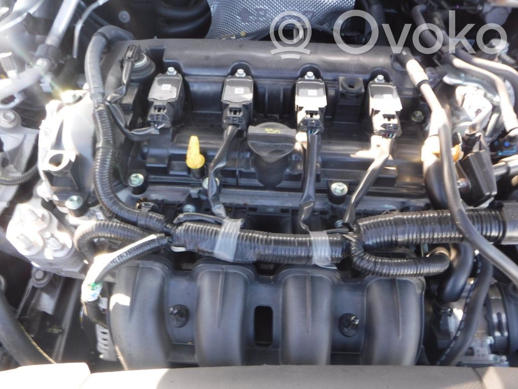 Motor   PEDD10300