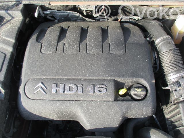 Variklis   0135QG