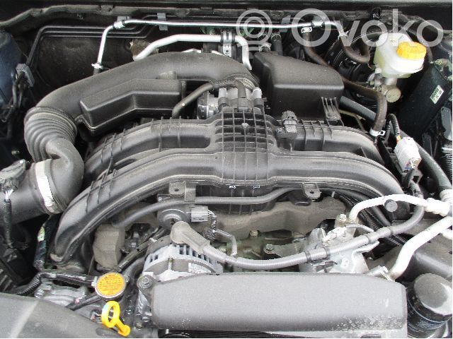 Engine   10100CC730,CB34952,CB34952