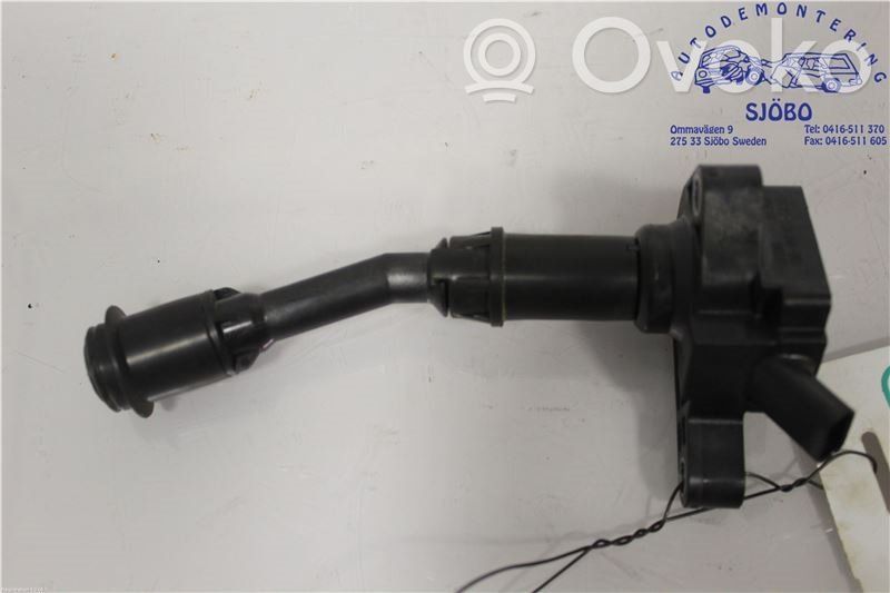 Aukštos įtampos ritė "babyna"   1836729,DS7G12A366BB,DS7G12A366BB