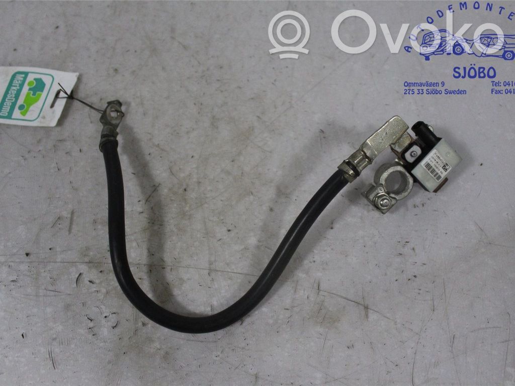 Plusa vads (akumulatora)   2439579,F1FT10C679BA,F1FT10C679BA