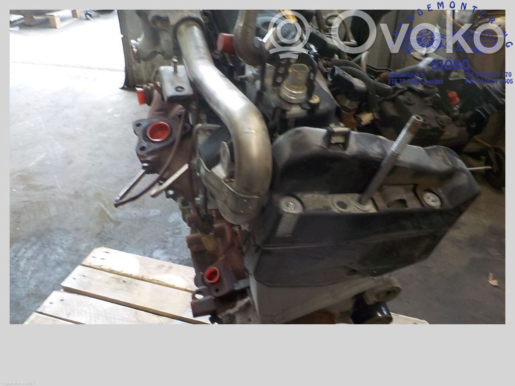 Variklis   100018382R