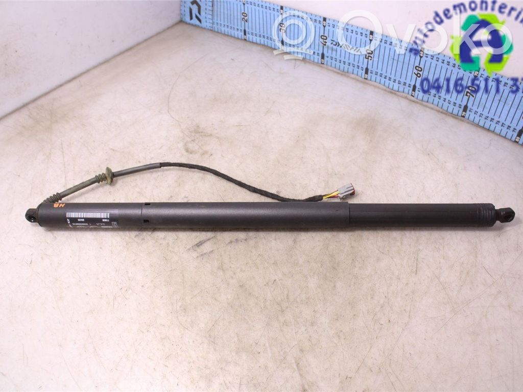 Tailgate/trunk strut/damper   2634285,JX7BN404C84AG,JX7BN404C84AG