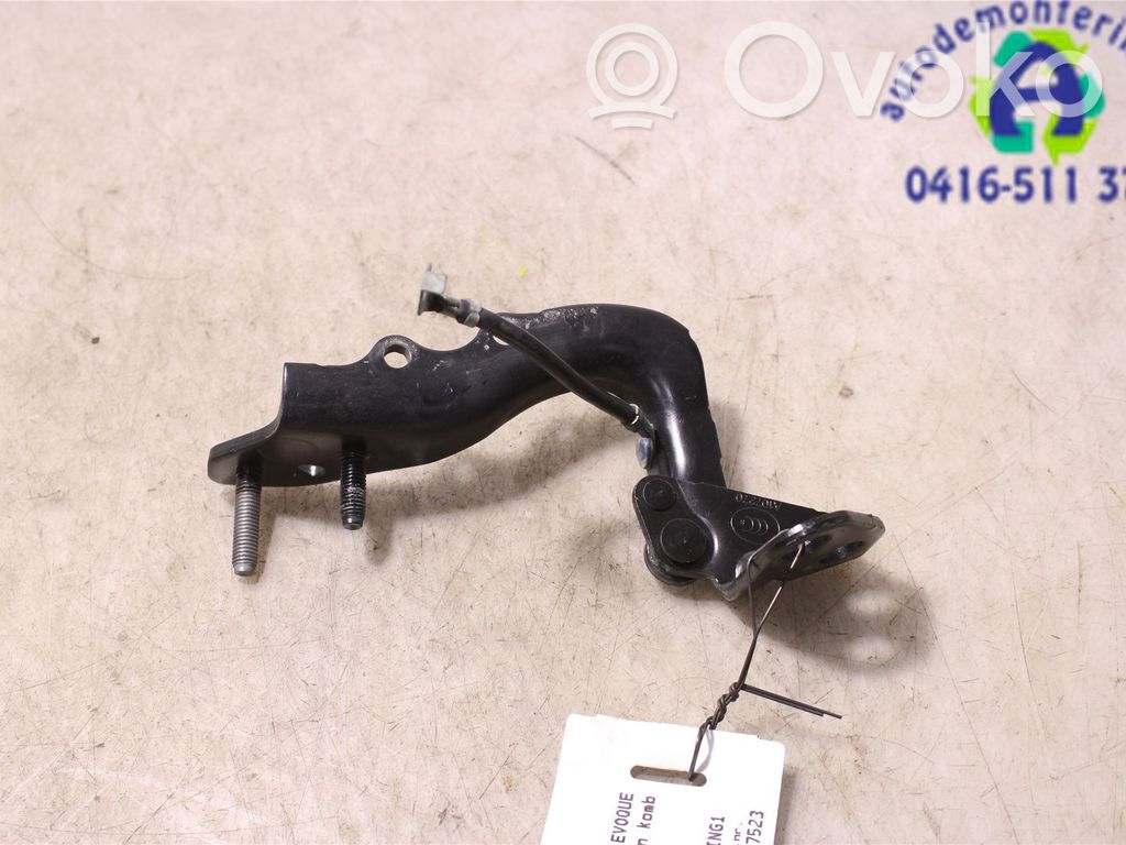 Land Rover Range Rover Evoque L538 Tailgate/trunk/boot hinge 