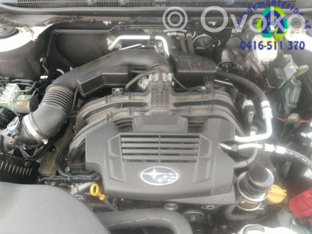 Engine   10100CE520