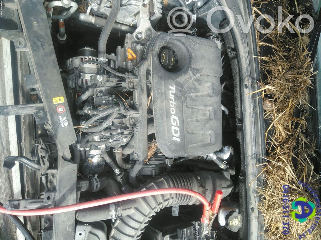 KIA Ceed Motor 