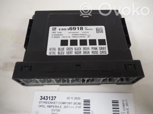 Central body control module   13516918,13516918