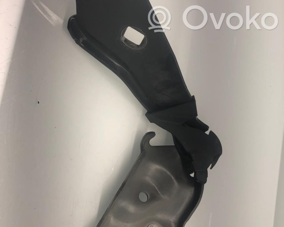 Tesla Model 3 Engine bonnet/hood hinges 