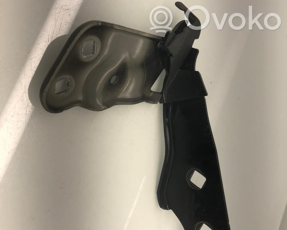 Tesla Model 3 Engine bonnet/hood hinges 