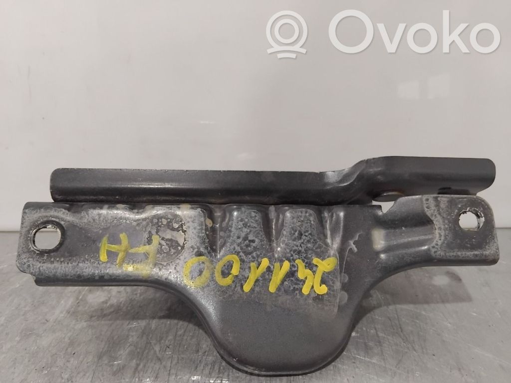 Tesla Model S Konepellin saranat 