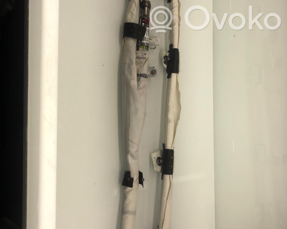 Tesla Model 3 Airbag del techo 
