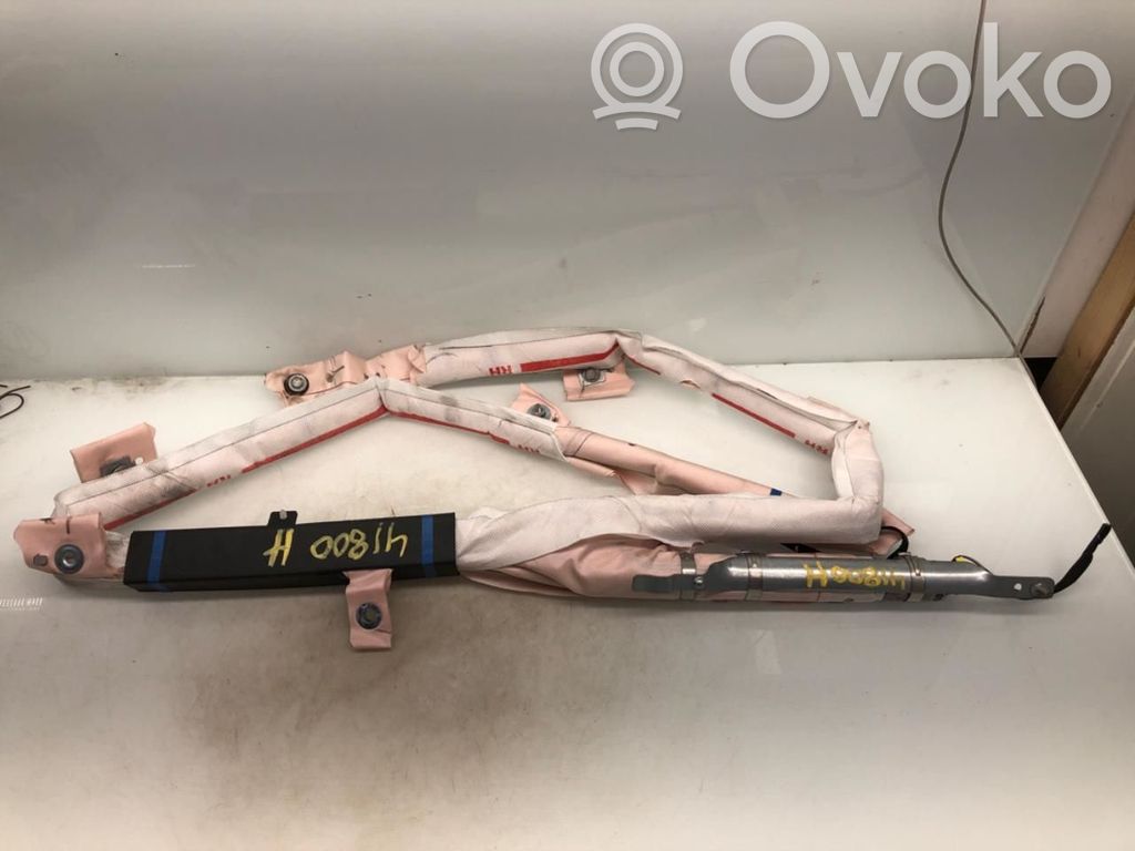 Tesla Model S Airbag del techo 