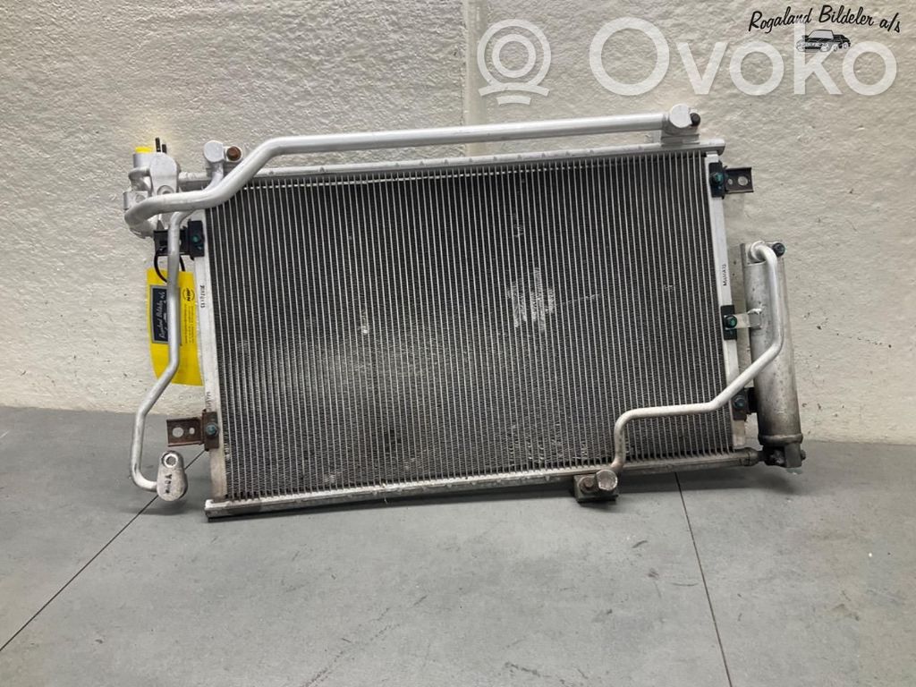 Hyundai Ioniq Radiator lichid răcire