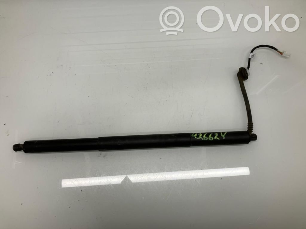 Tesla Model Y Aizmugurējā pārsega pievilcējs 