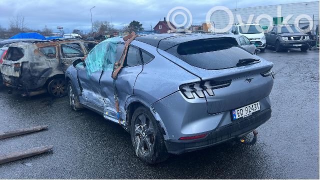Ford Mustang Mach-E Bastidor trasero 