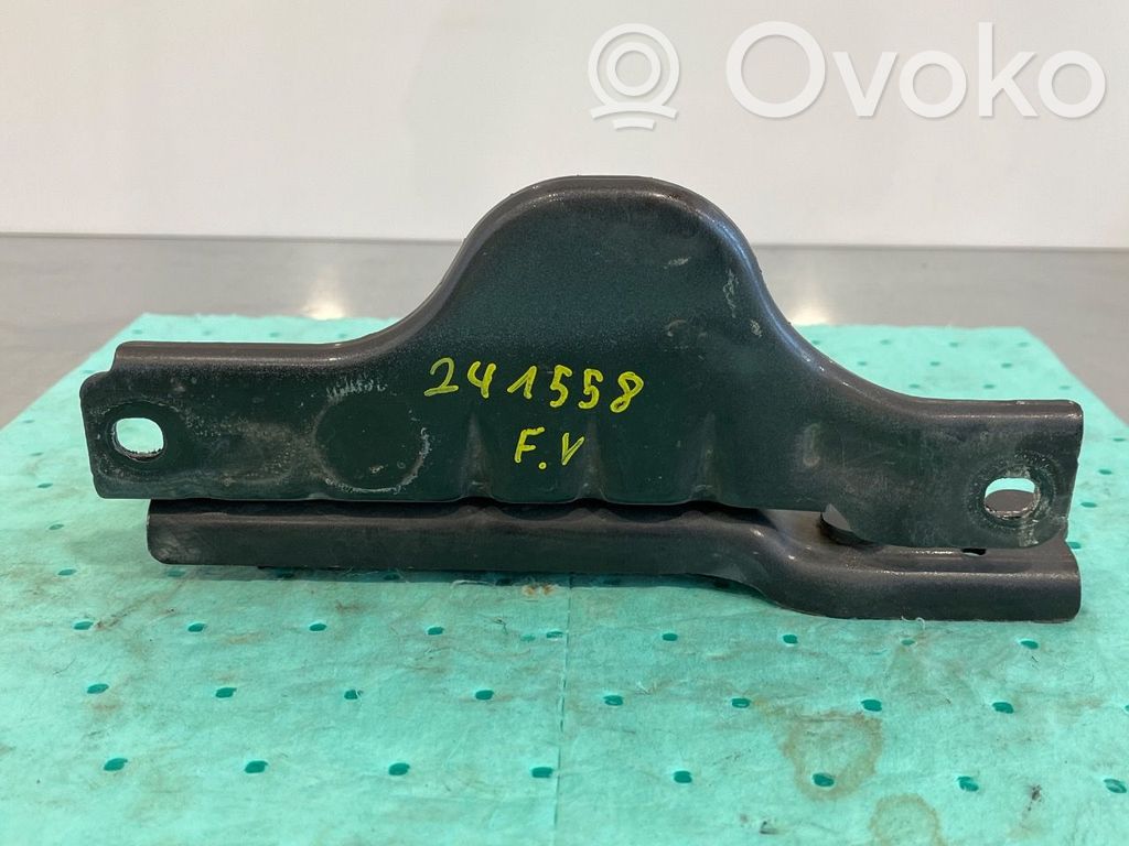 Tesla Model S Cerniere del vano motore/cofano
