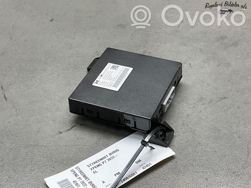 XPeng P7 Alte unități/module de control