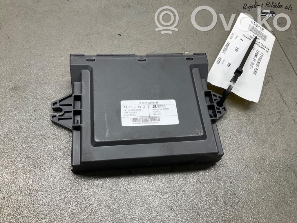 XPeng P7 Alte unități/module de control 