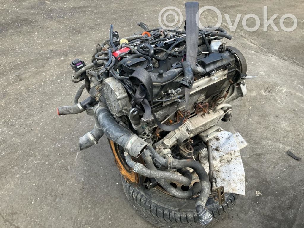 Skoda Octavia Mk2 (1Z) Variklis 