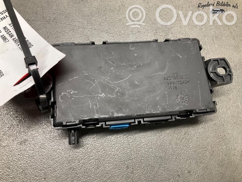 Nissan Ariya Other control units/modules 