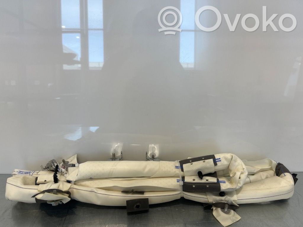 Tesla Model 3 Airbag del techo 