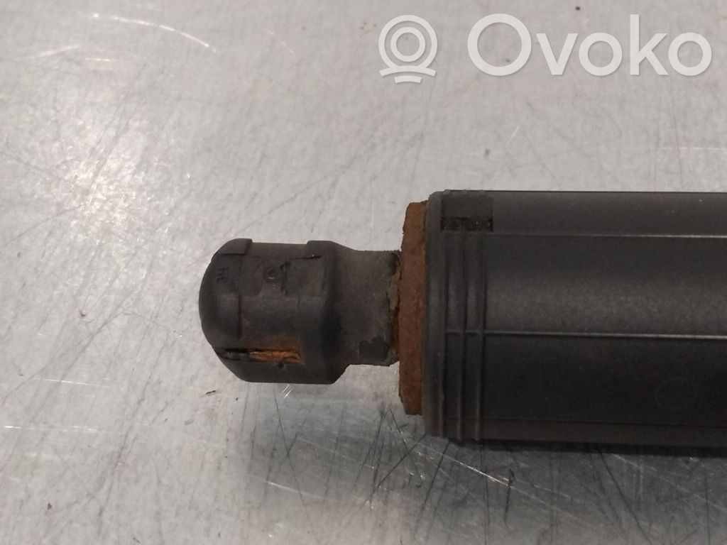 Tesla Model S Tailgate/trunk strut/damper 