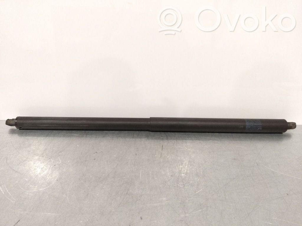 Tesla Model S Amortizor hayon 