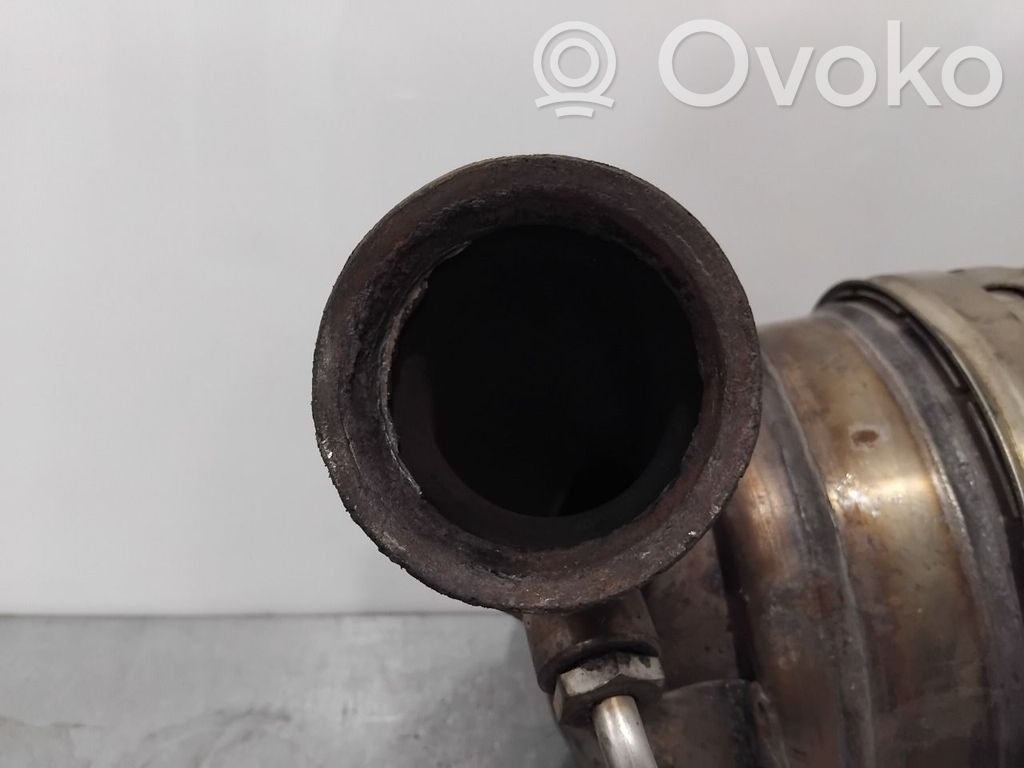 Citroen Berlingo Filtru de particule catalizator/FAP/DPF 