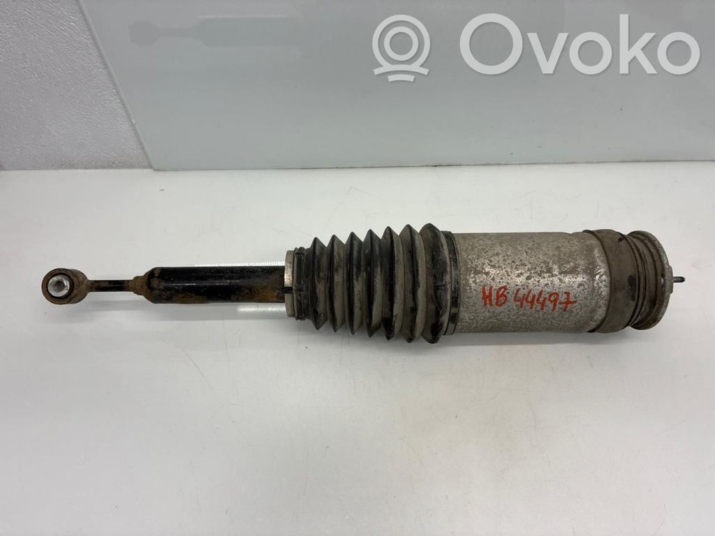Tesla Model X Galinė pneumatinė (oro) pagalvė 