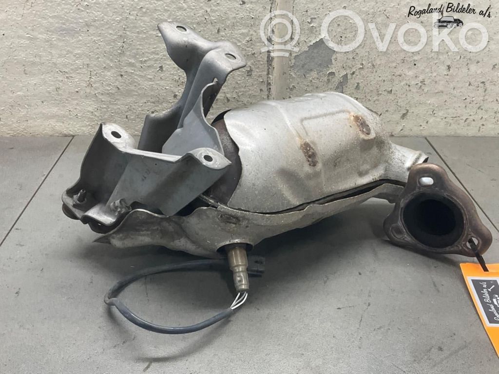 Renault Captur Filtro antiparticolato catalizzatore/FAP/DPF