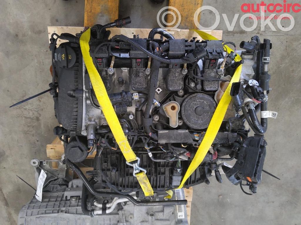 Audi A4 S4 B9 8W Motor 