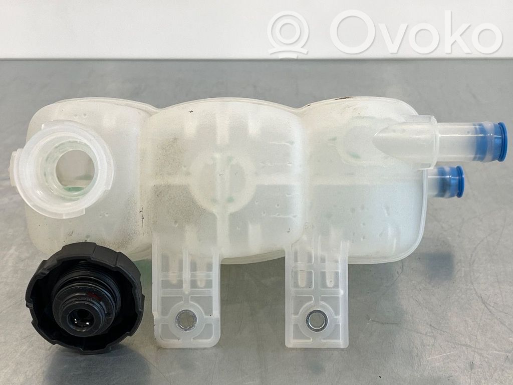 Hyundai Ioniq Vase d'expansion de carburant