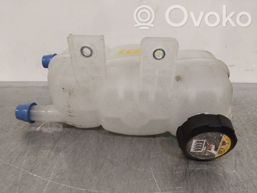 Hyundai Ioniq Vase d'expansion de carburant