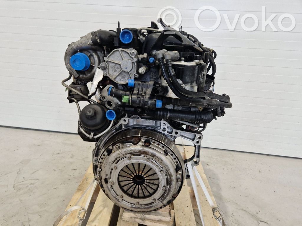 Ford Focus Variklis 