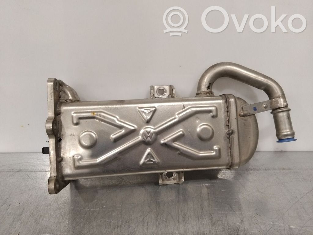Volkswagen Tiguan Răcitor supapă EGR 