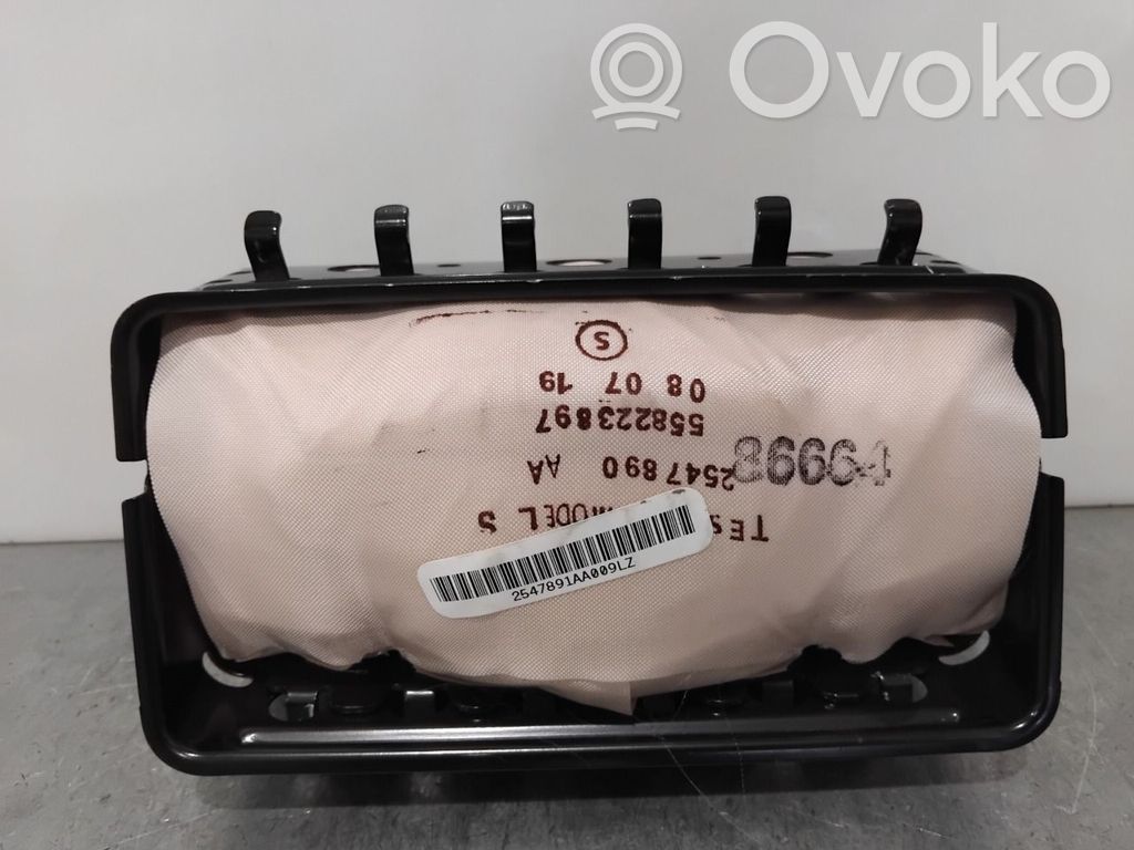 Tesla Model S Airbag pasager