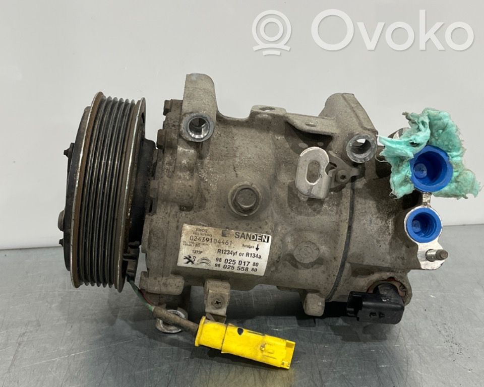 Klimakompressor Pumpe   9802501780,9802501780