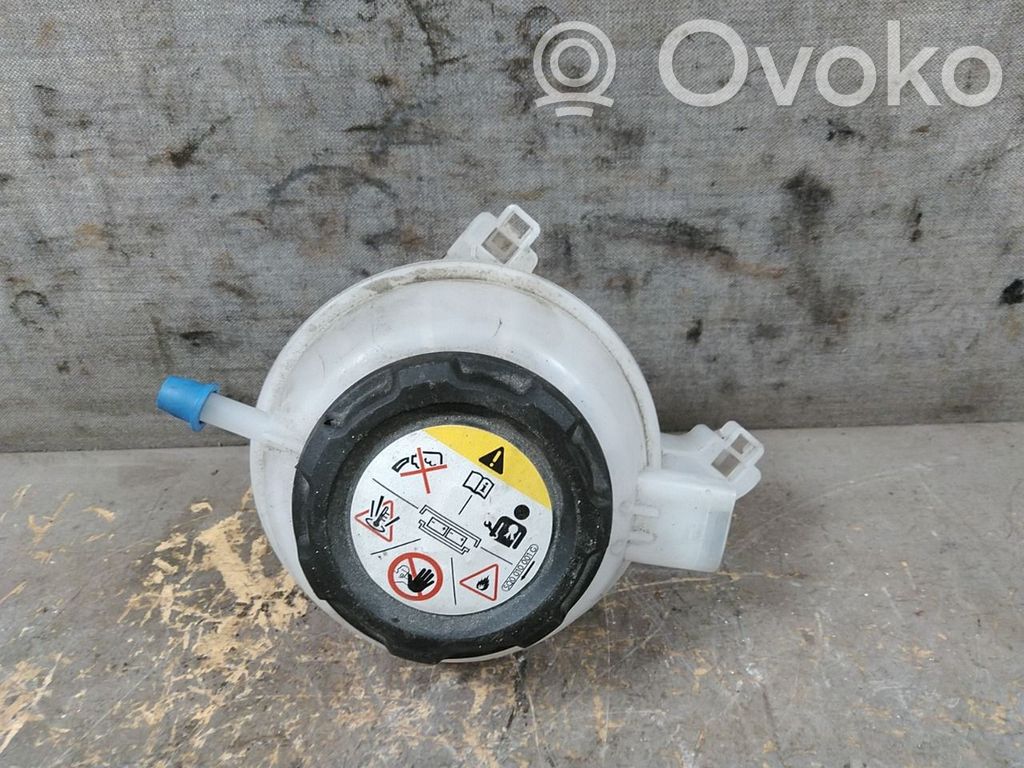 Volkswagen e-Golf Fuel expansion tank 